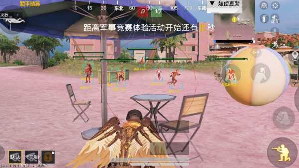 和平精英辅助【小飞侠】